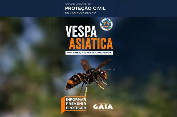 Medidas de preven&ccedil;&atilde;o, monitoriza&ccedil;&atilde;o e controlo da vespa-asi&aacute;tica (Vespa velutina) no concelho de Vila Nova de Gaia