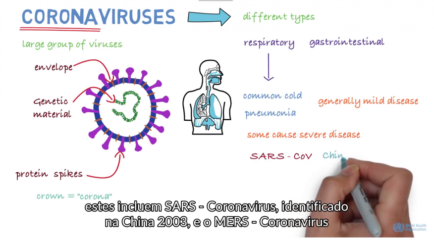 Informação COVID-19 (Coronavírus)